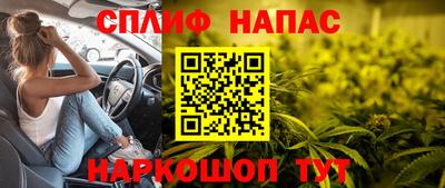 ешки Надым